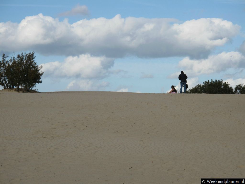 Het Nationaal Park de Drunense Duinen bij Udenhout een bijzonder landschap met hoge zandduinen en heidevelden. Tips: De Loonse en Drunense Duinen bij Udenhout.
